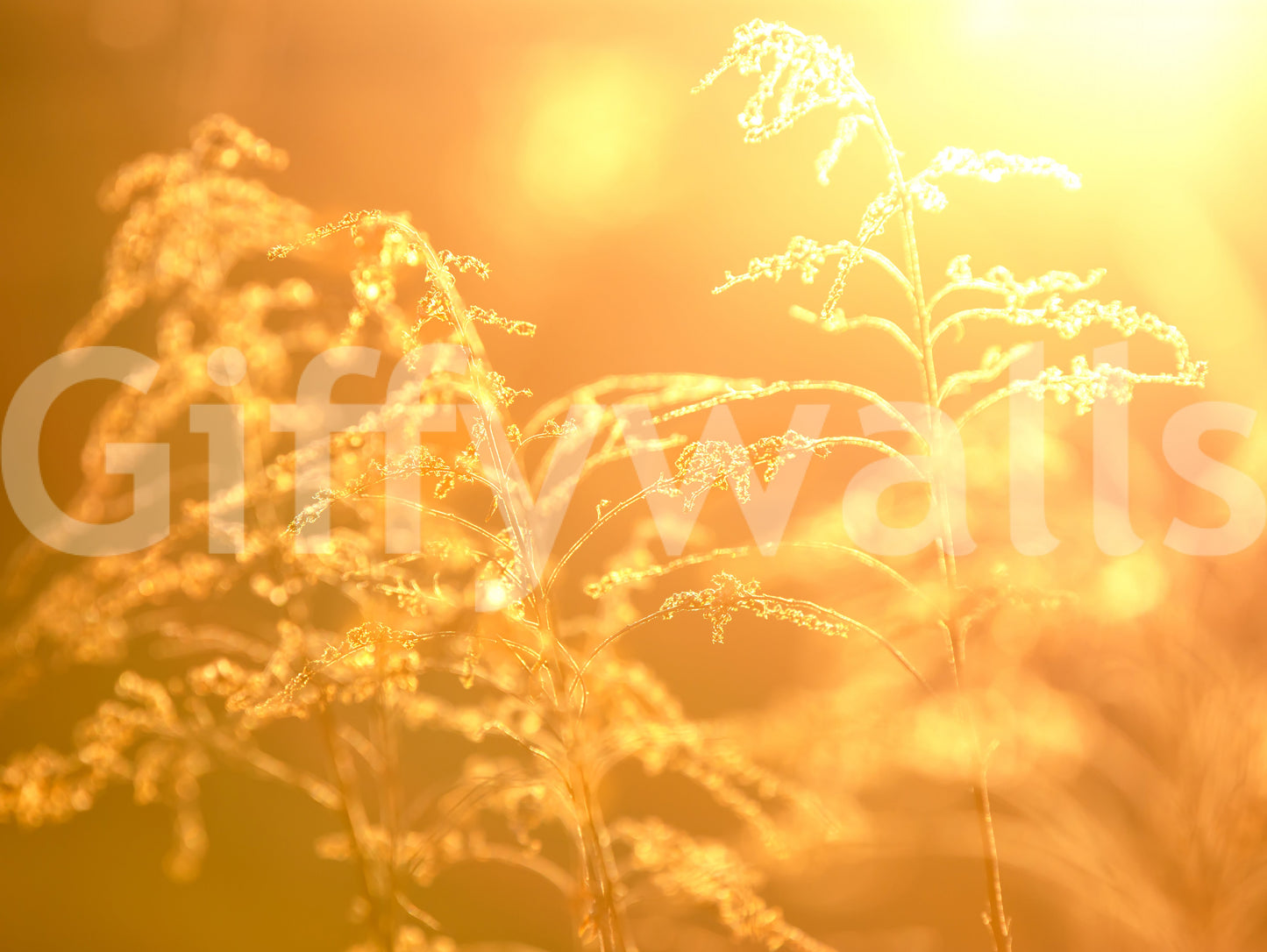 Horizontal format for an expansive view.