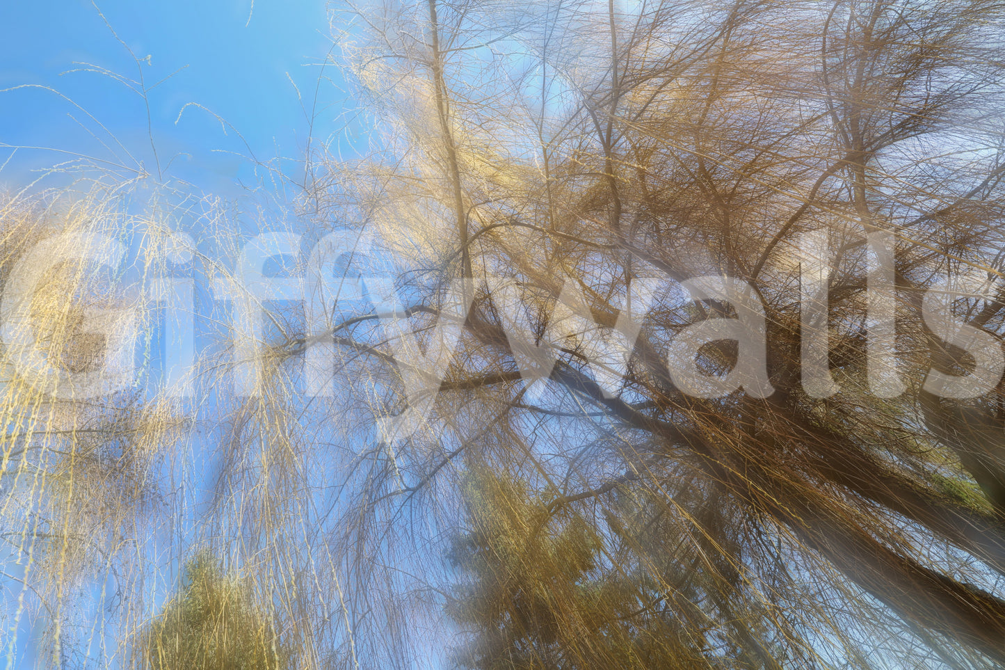 Delicate interplay of light and shadow.