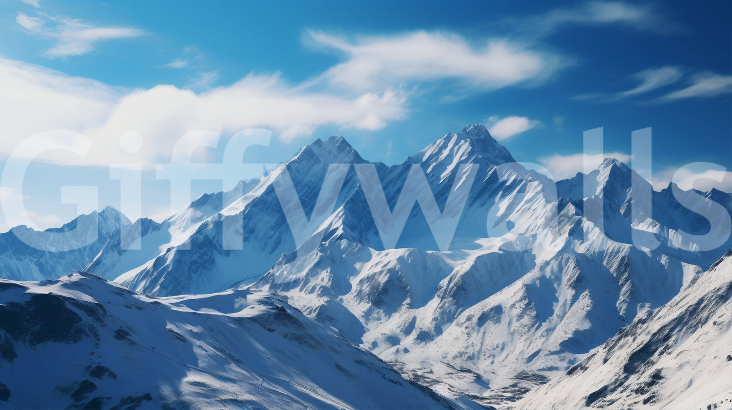 Inviting and awe-inspiring aesthetic.