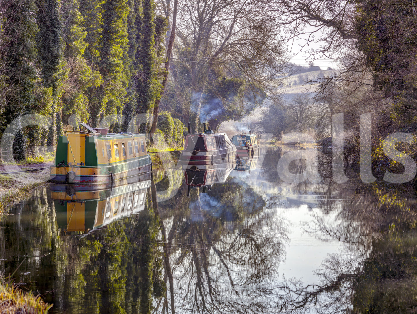 Wall decor evoking serenity and nature's calm.