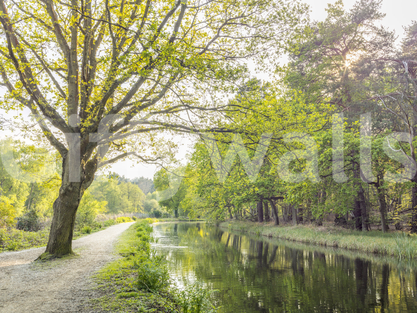 simple and natural wall art