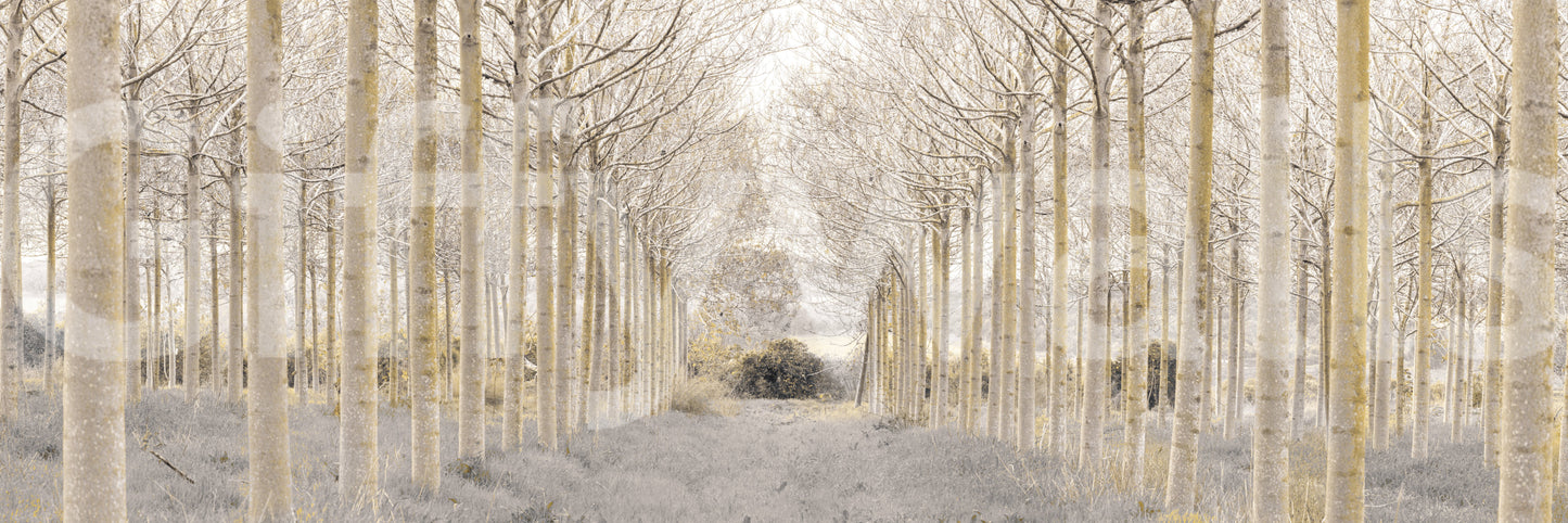 clean and simple nature wallpaper