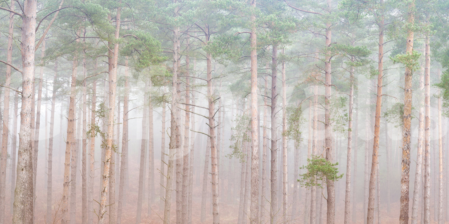 Great for meditation areas.