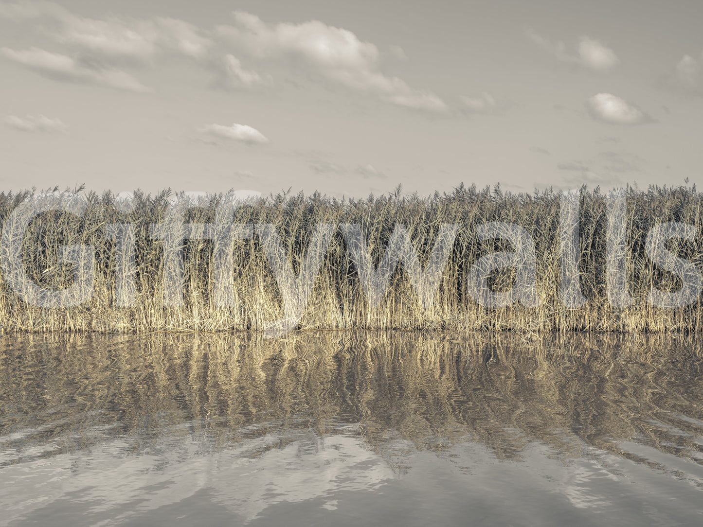 View of the mural from a distance.