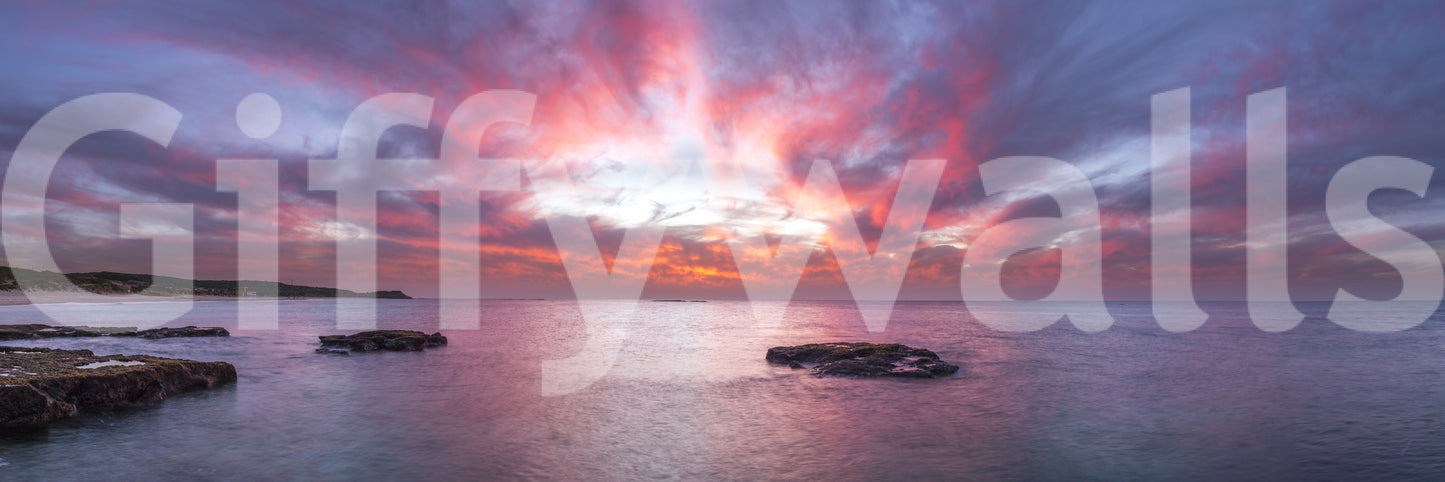 The wallpaper has a smooth, non-reflective matte finish.