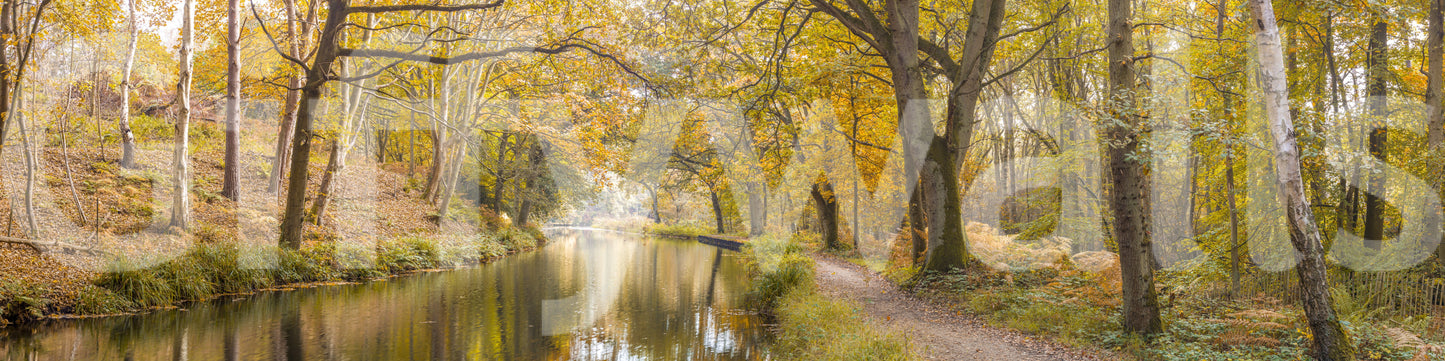 The wallpaper has a smooth, non-reflective matte finish.