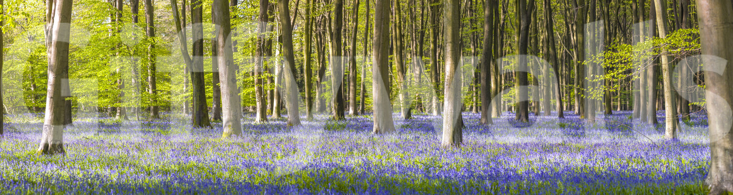 The wallpaper features a subtle, calming pattern.