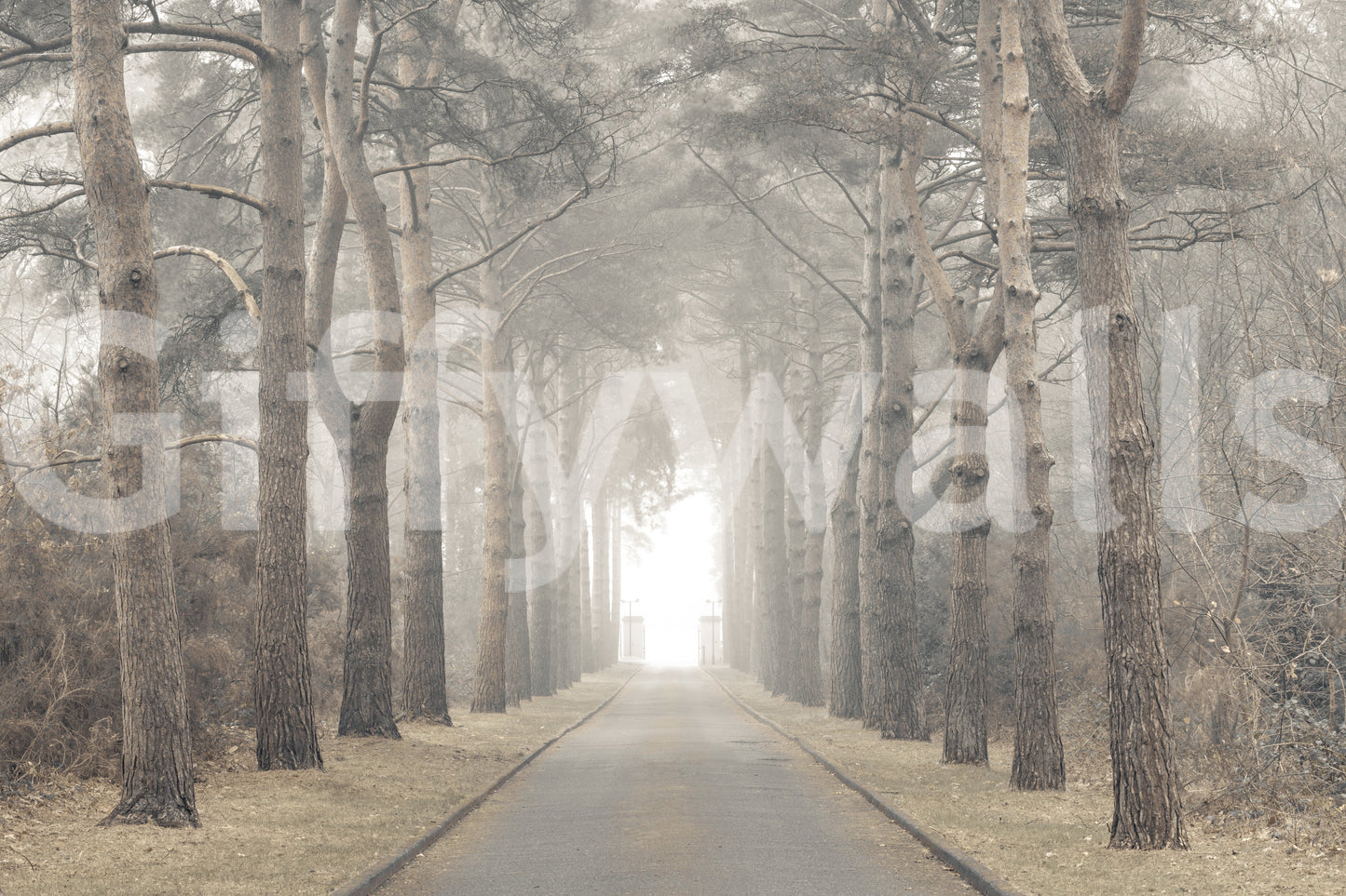 The wallpaper is perfect for a peaceful space.