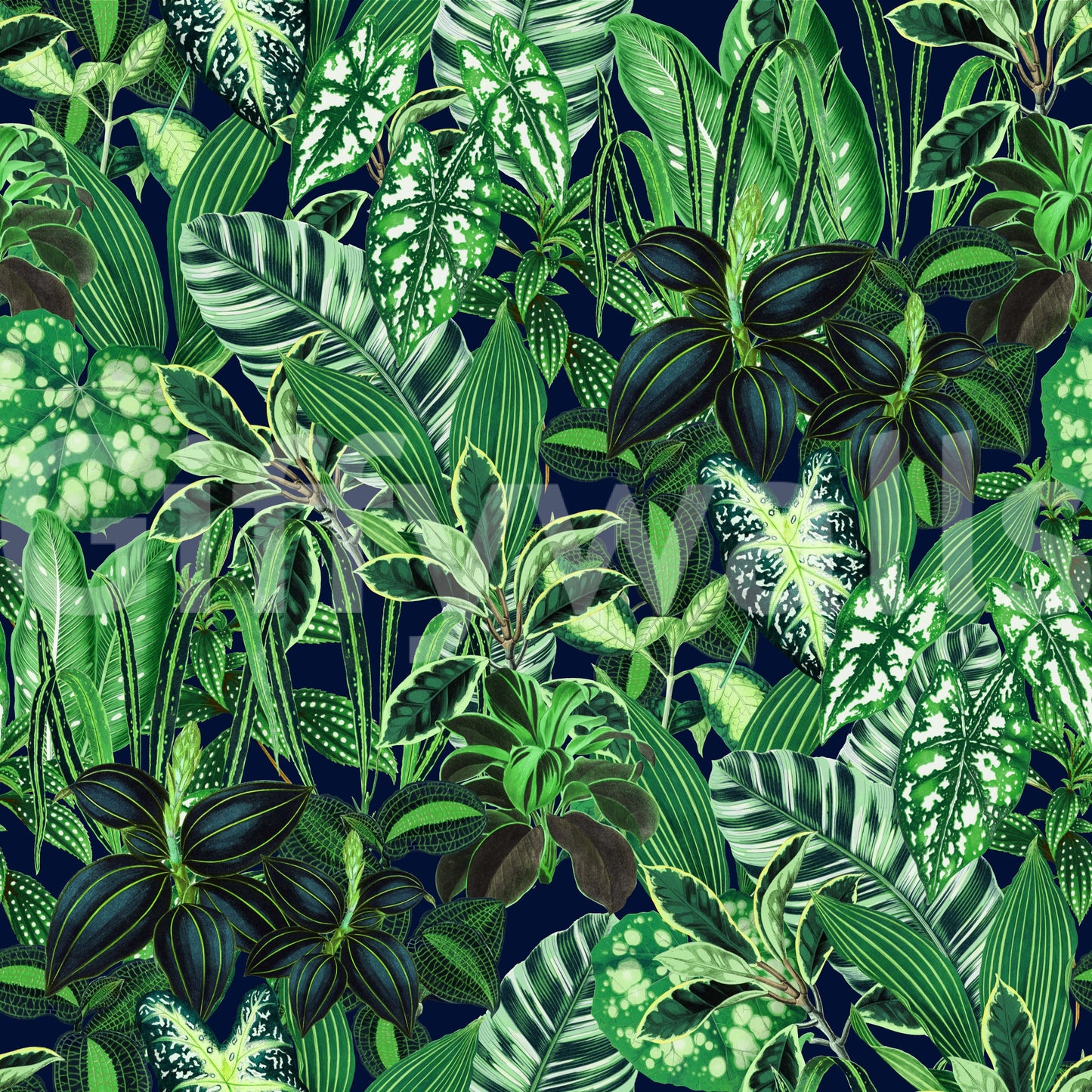 A seamless pattern of tropical plants on a wall