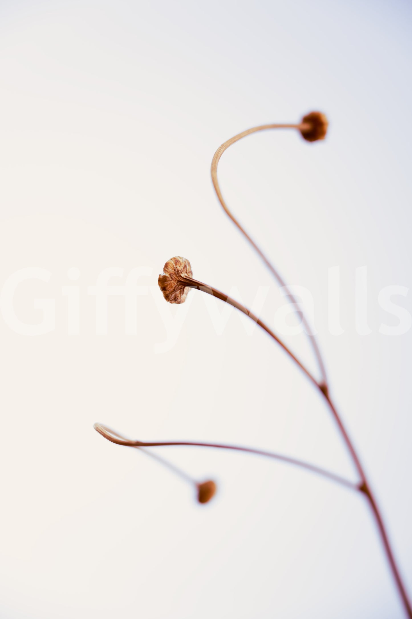 A detail of the organic shapes in the modern design.