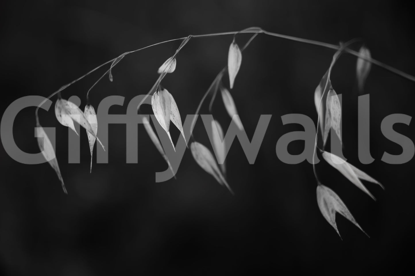 A detail of the organic shapes in the modern design.