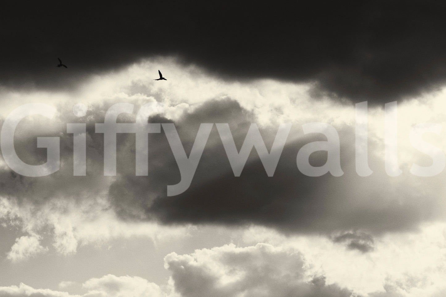 A high-quality custom graphic wall mural for walls.