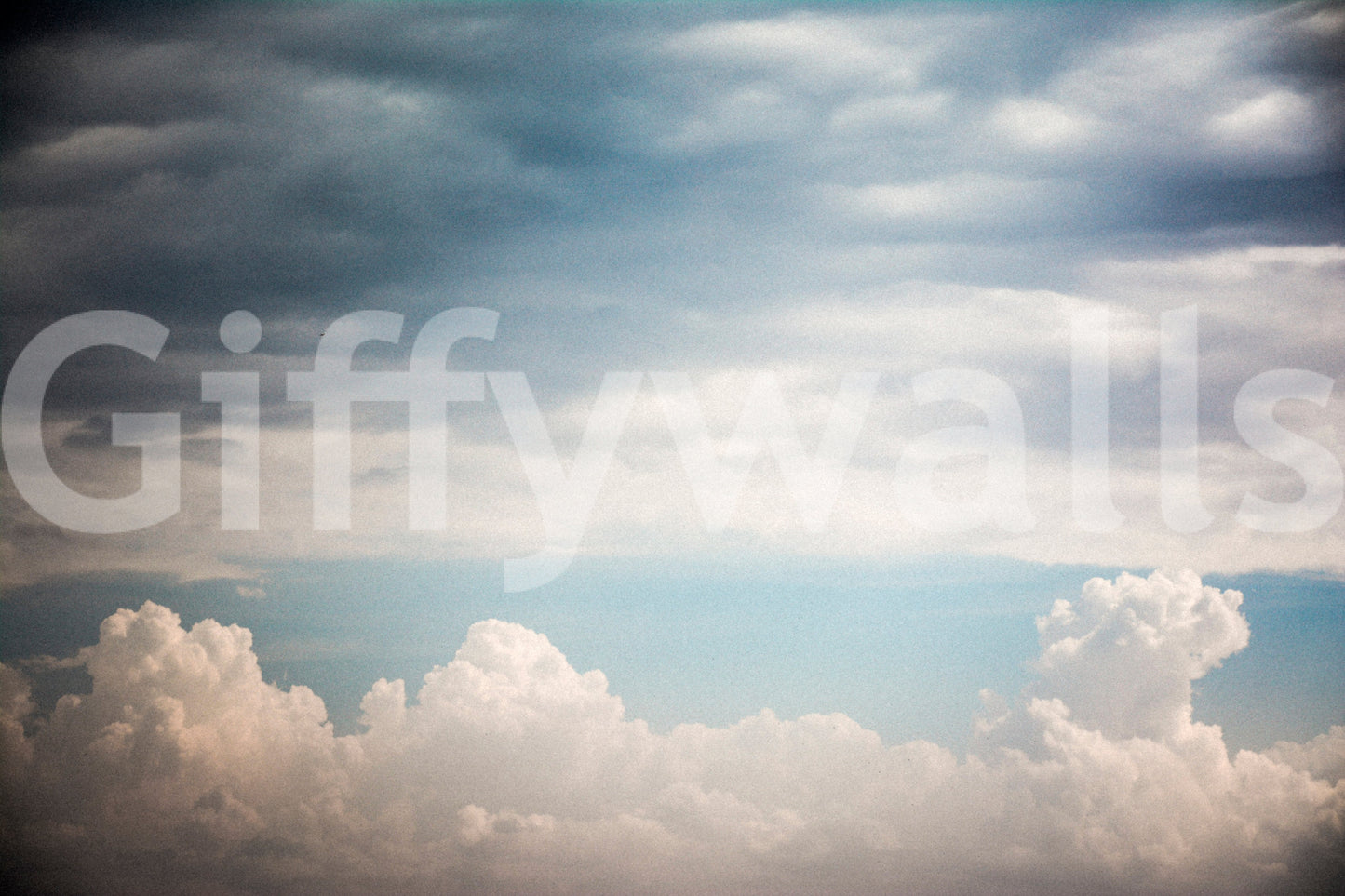 A high-quality minimalist wall mural for walls.