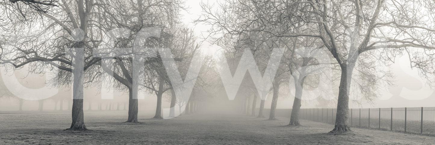 A high-quality minimalist tree wall mural for walls.