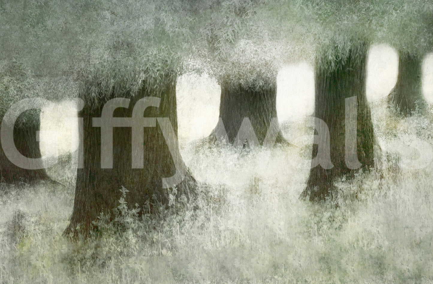 Silent Canopy Wall Mural -2113402