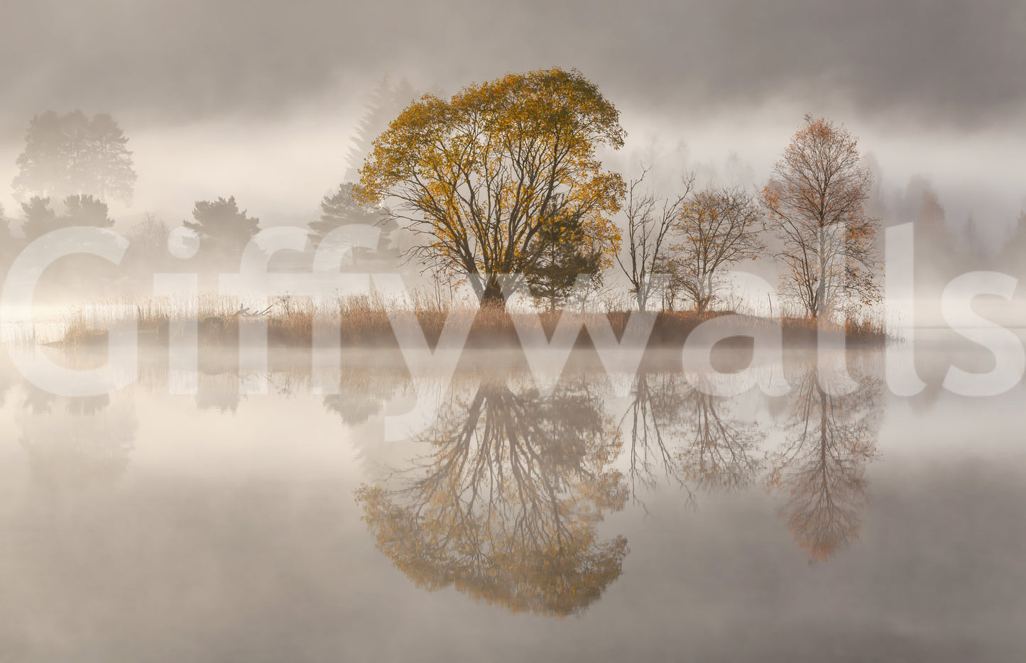 Autumnal Serenity Wall Mural -2425987