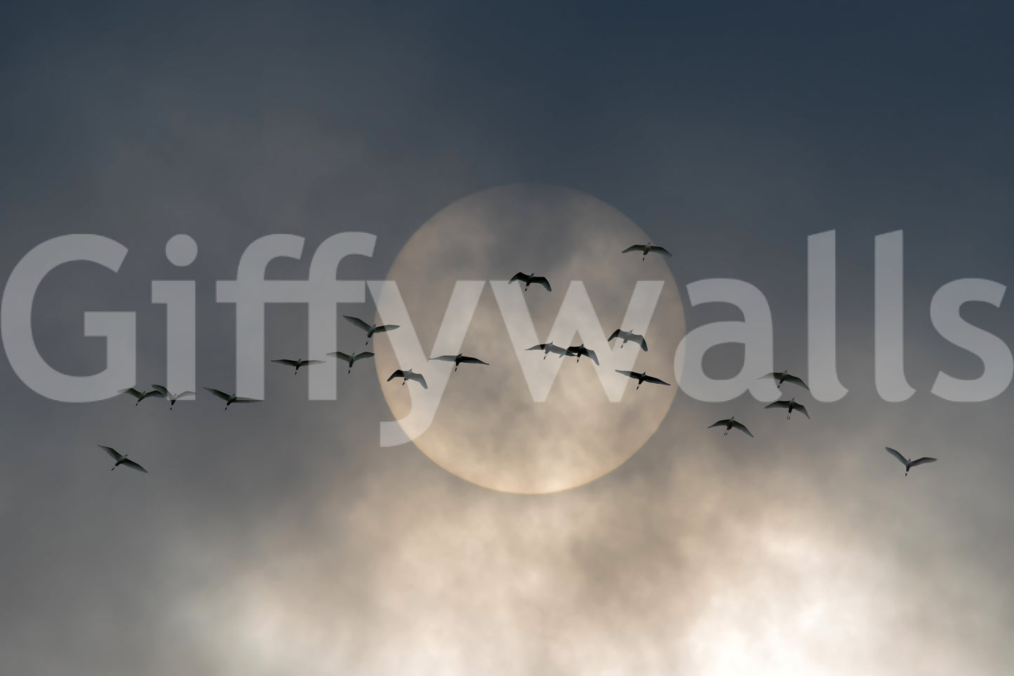 Soaring Souls Wall Mural -2228406