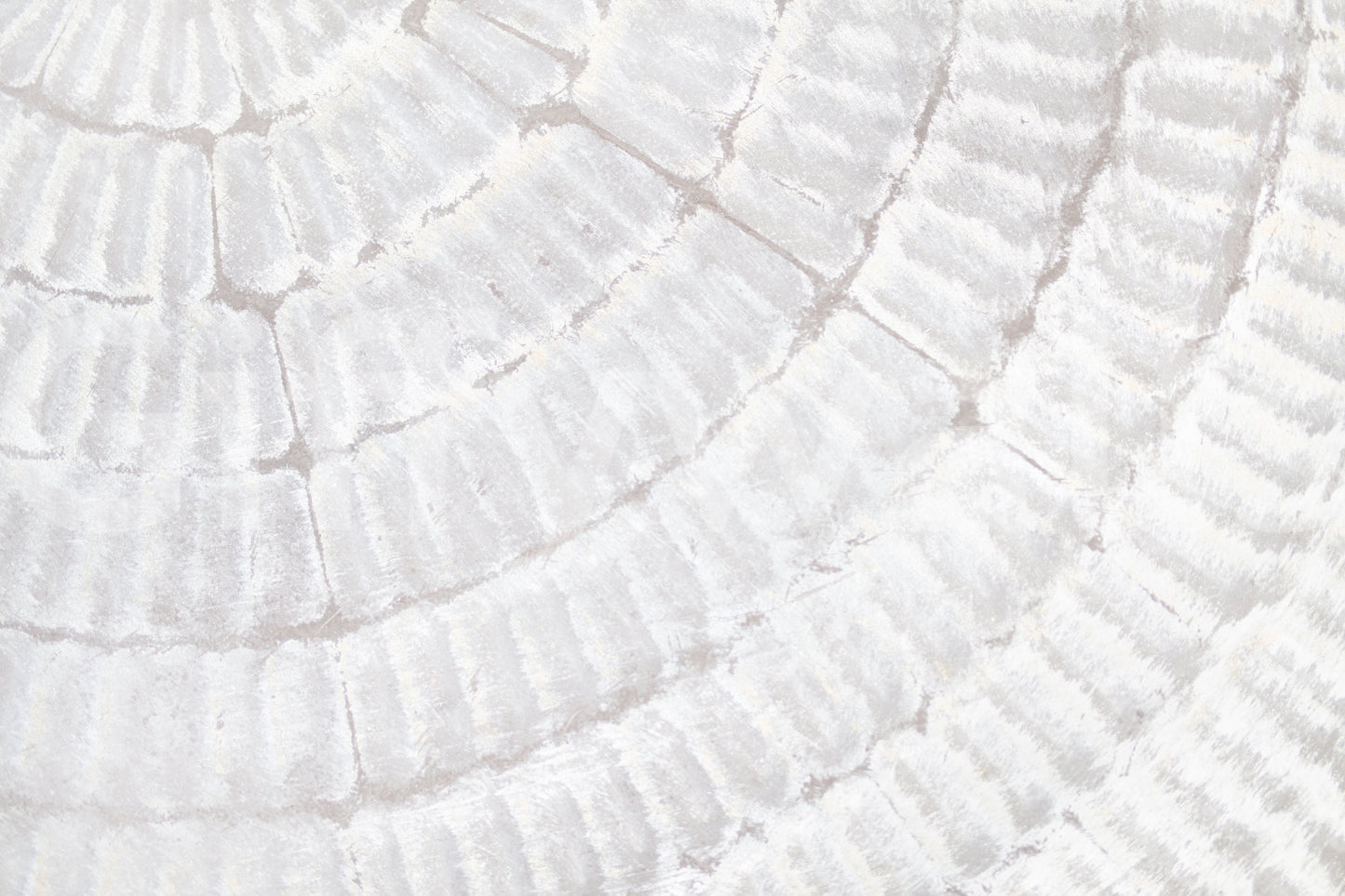 Whispered Texture Wall Mural -2306170