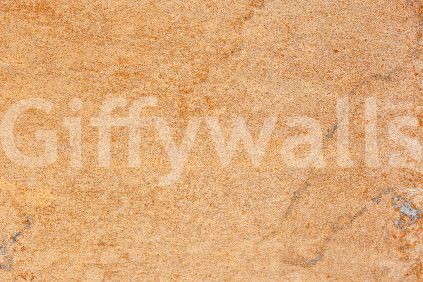 Oxidized Texture Wall Mural -2306164