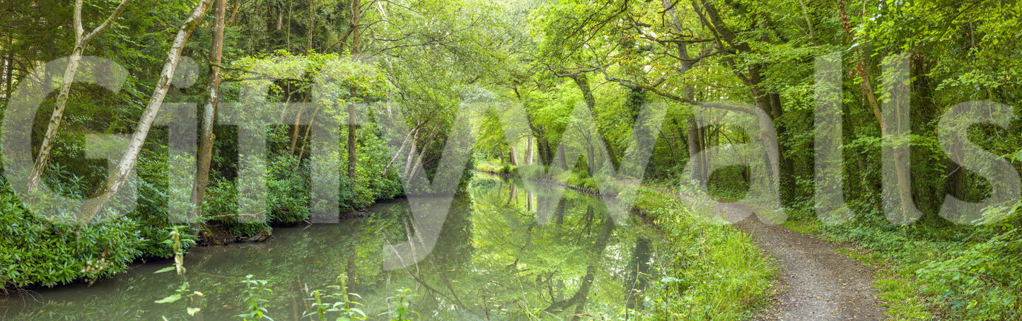 Woodland waterway Verdant Stream Escape wall mural, bright, soothing, and pleasant.