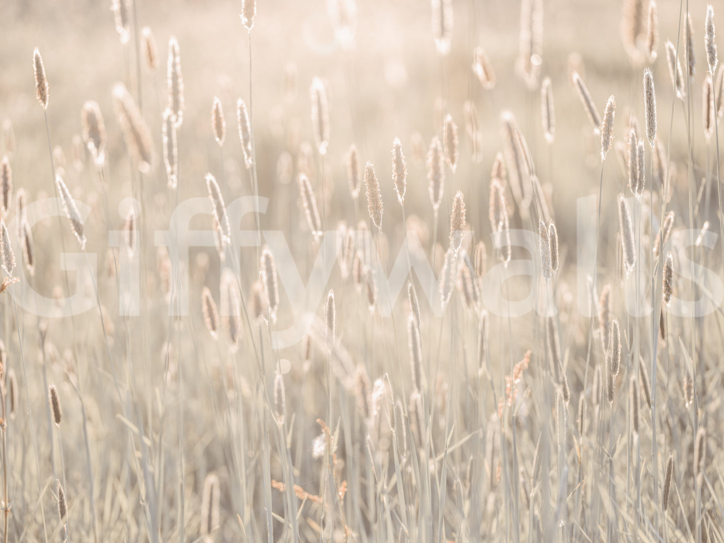 Nature's Bliss Wall Mural