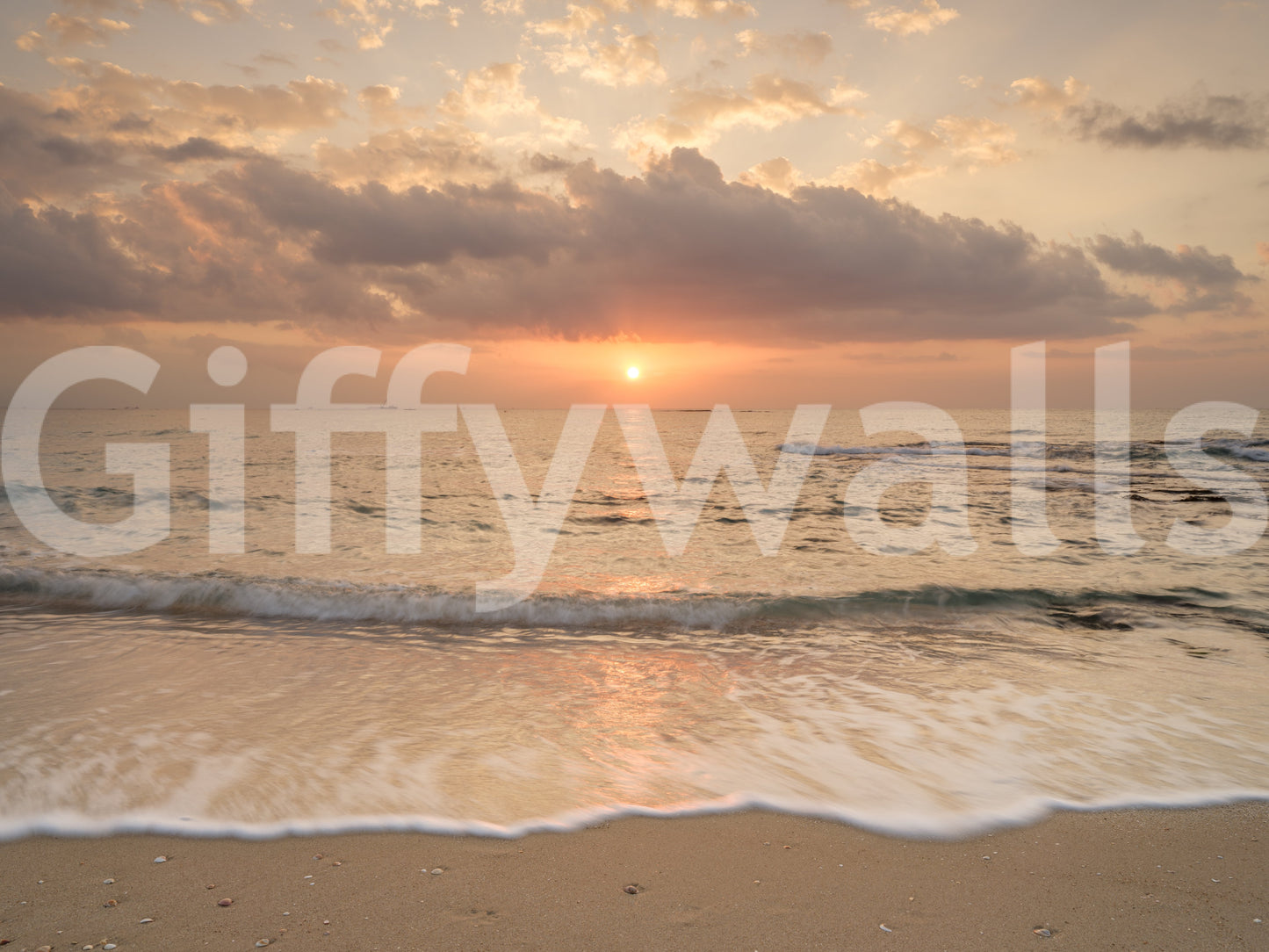 Exquisite coastal design, Gilded Shores photographic mural wallpaper for walls.