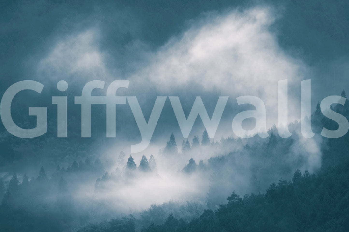 Calm Indigo Woodland Sentinel, wall art of a foggy conifer forest.