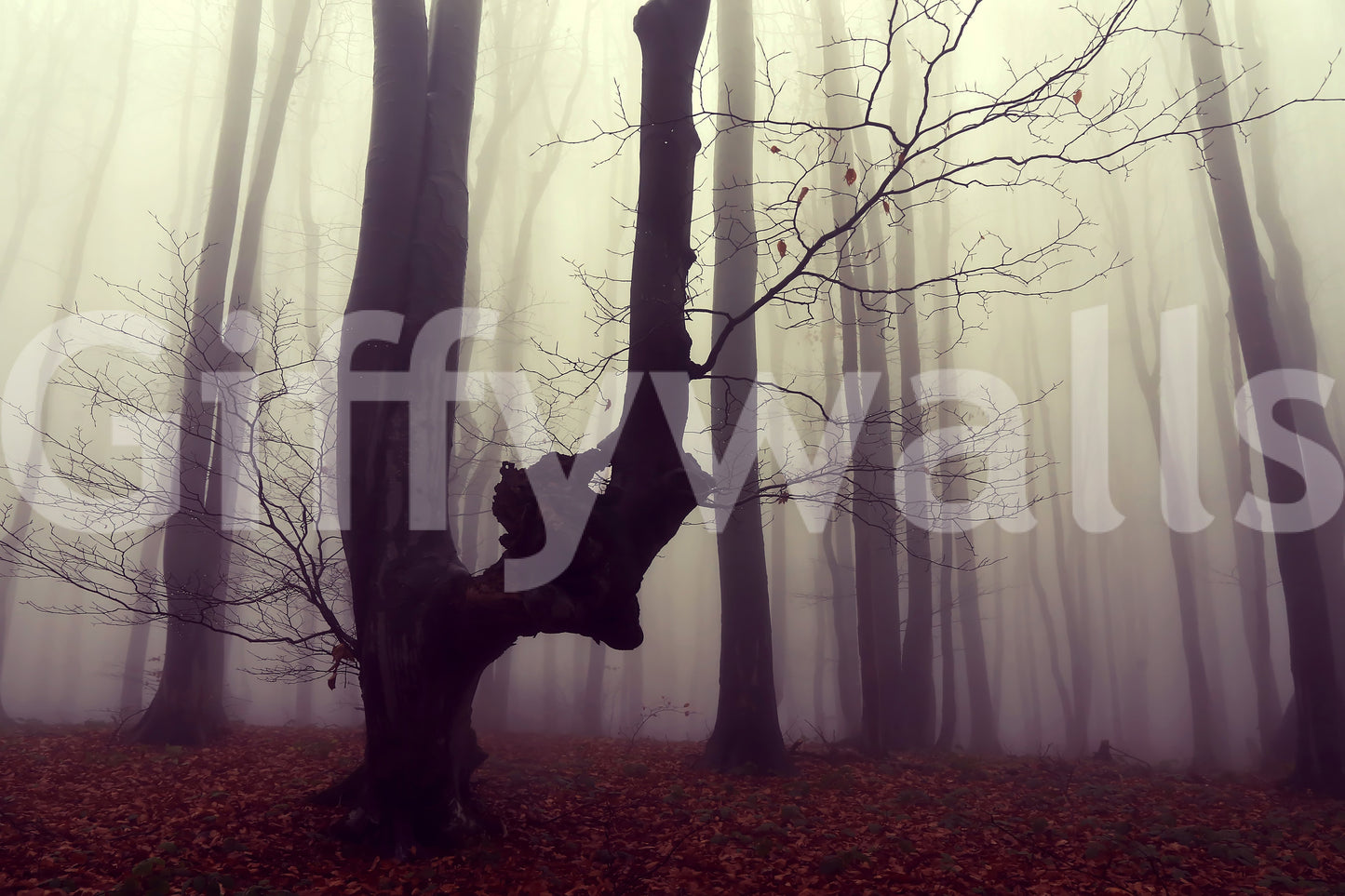 Wondrous forest wall mural, heavy fog, spindly branches, unique art.