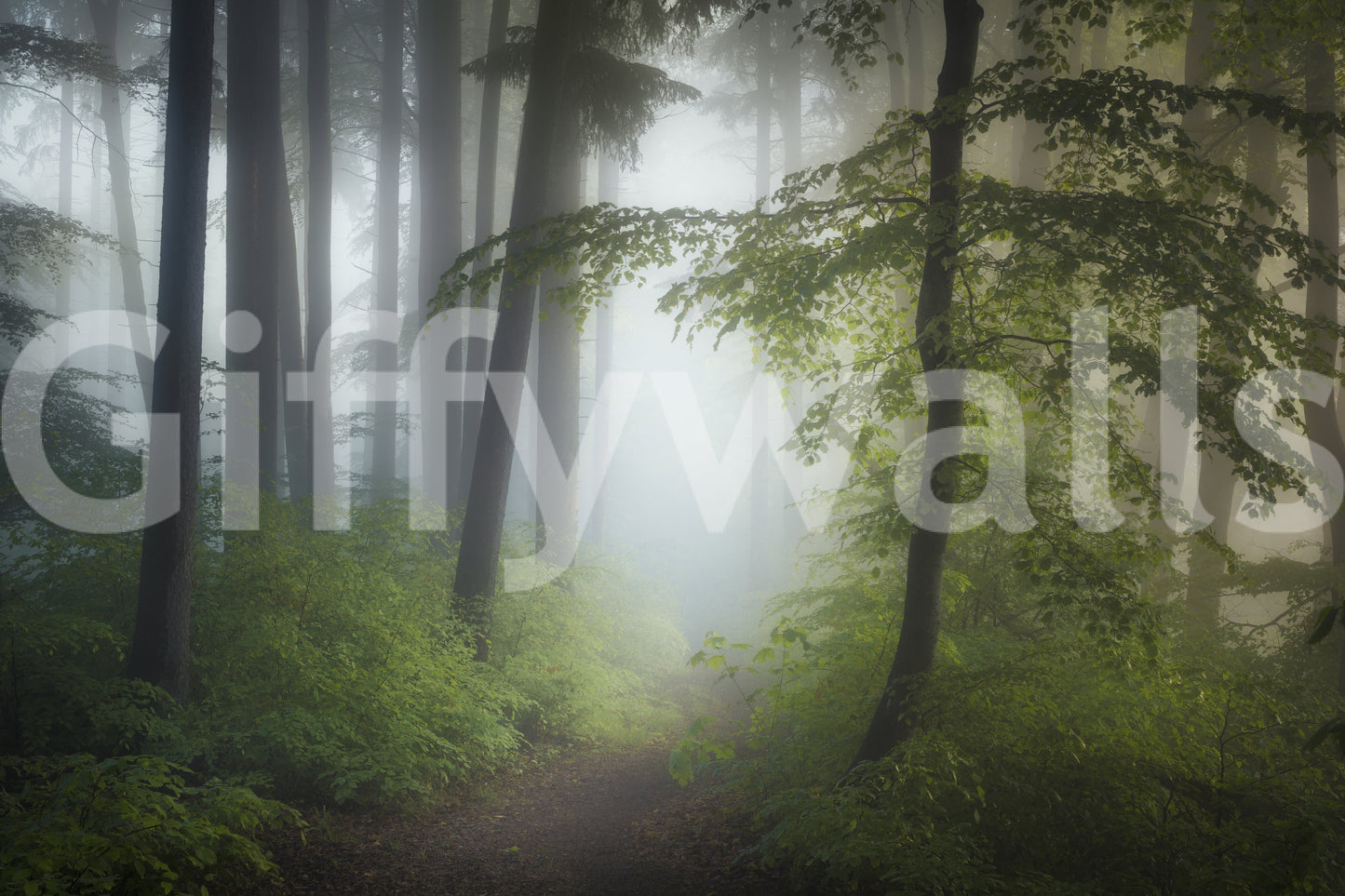 Photorealistic Misty Woods mural, immersive forest escape decorative panel.