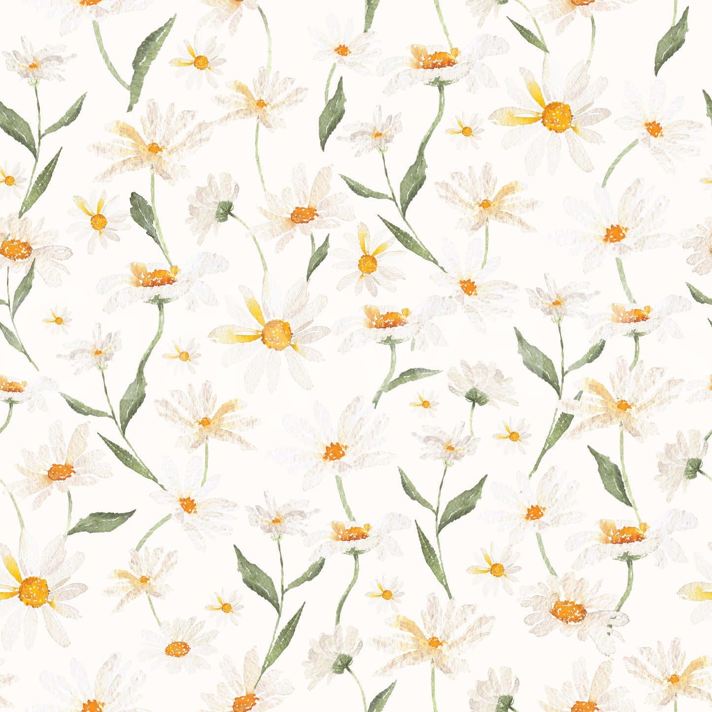 Daisy Dreams Wallpaper