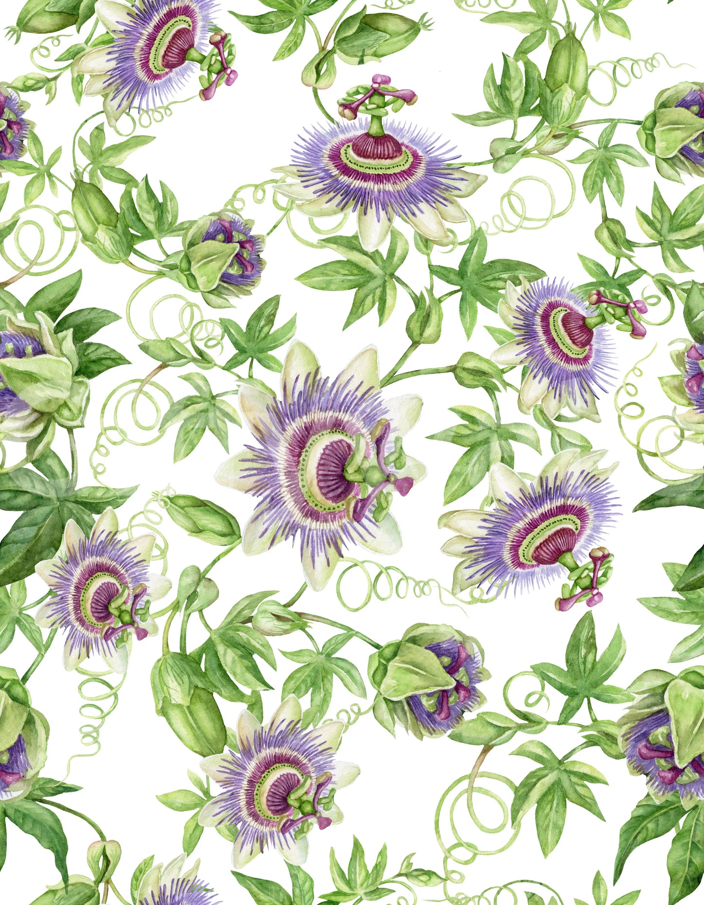 Passionflower Dream Wallpaper
