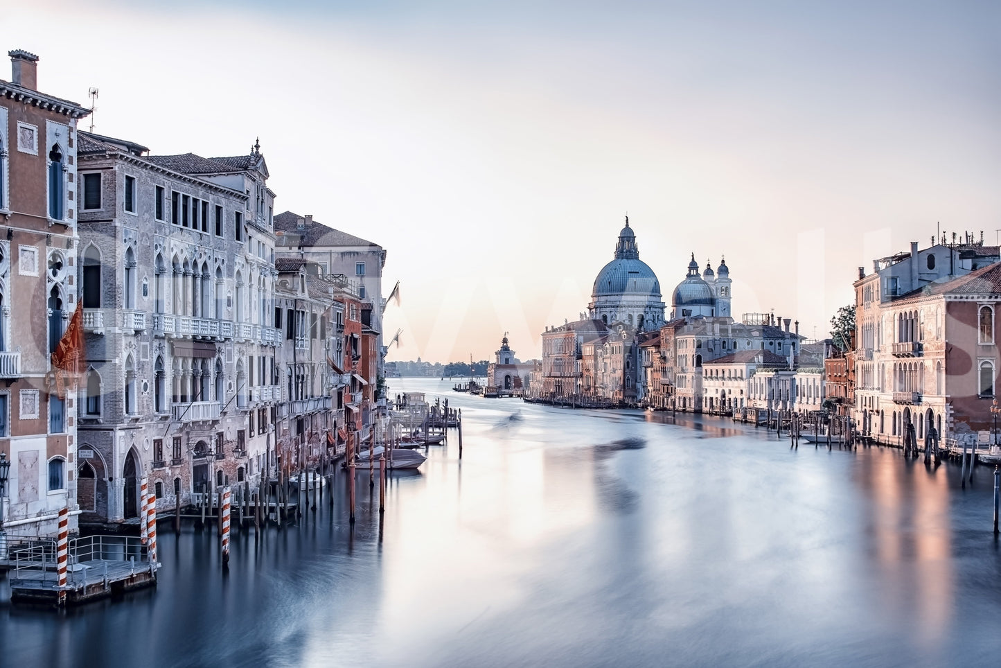 Grand Canal Dreams Wall Mural