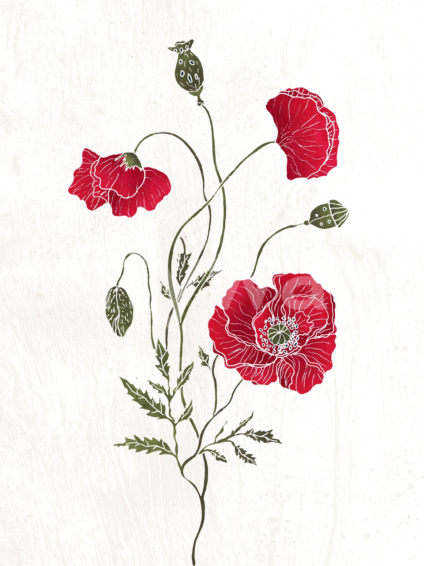 Lonely Red Poppy Wall Mural