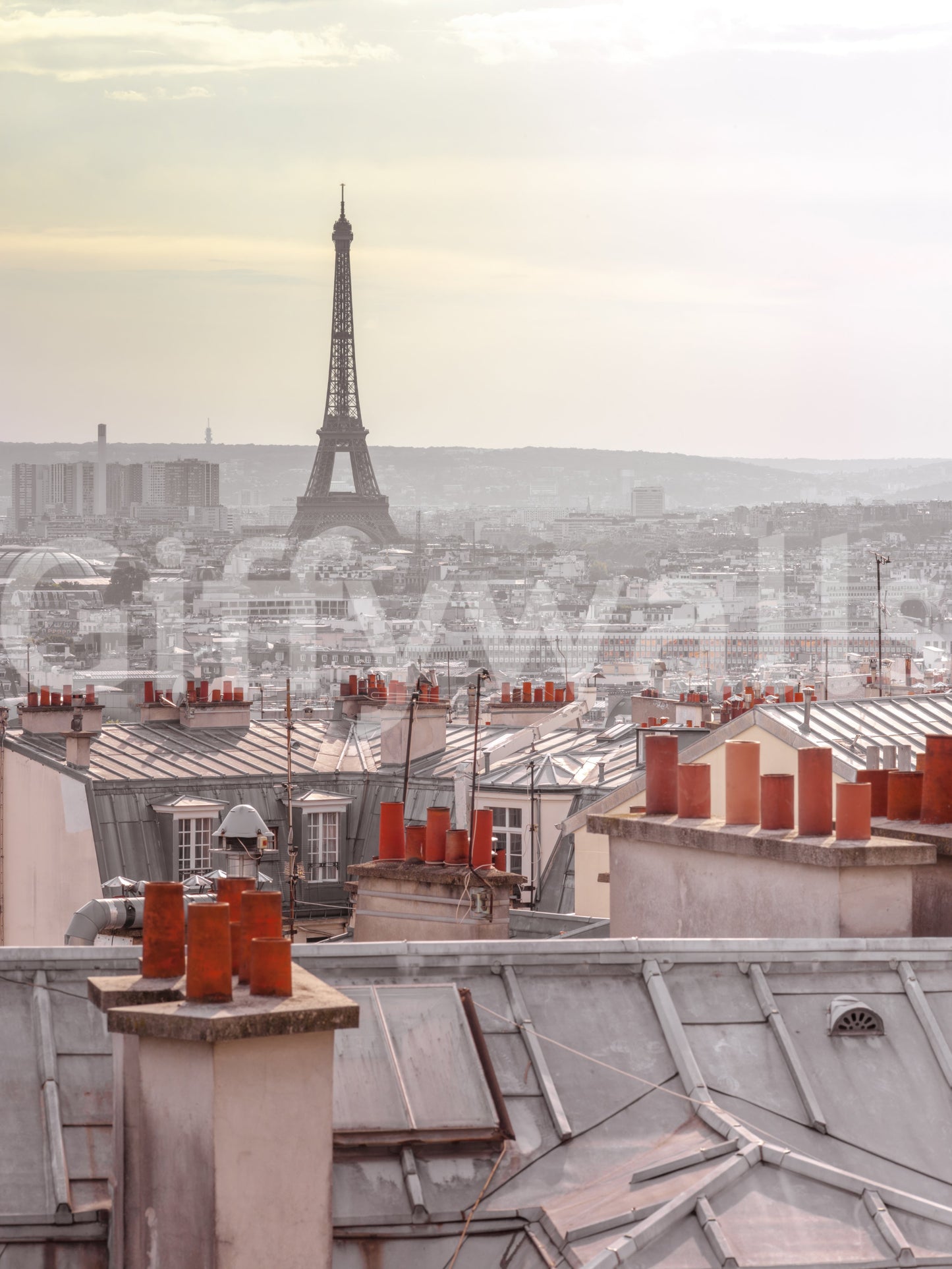 Parisian Rooftops Wall Mural