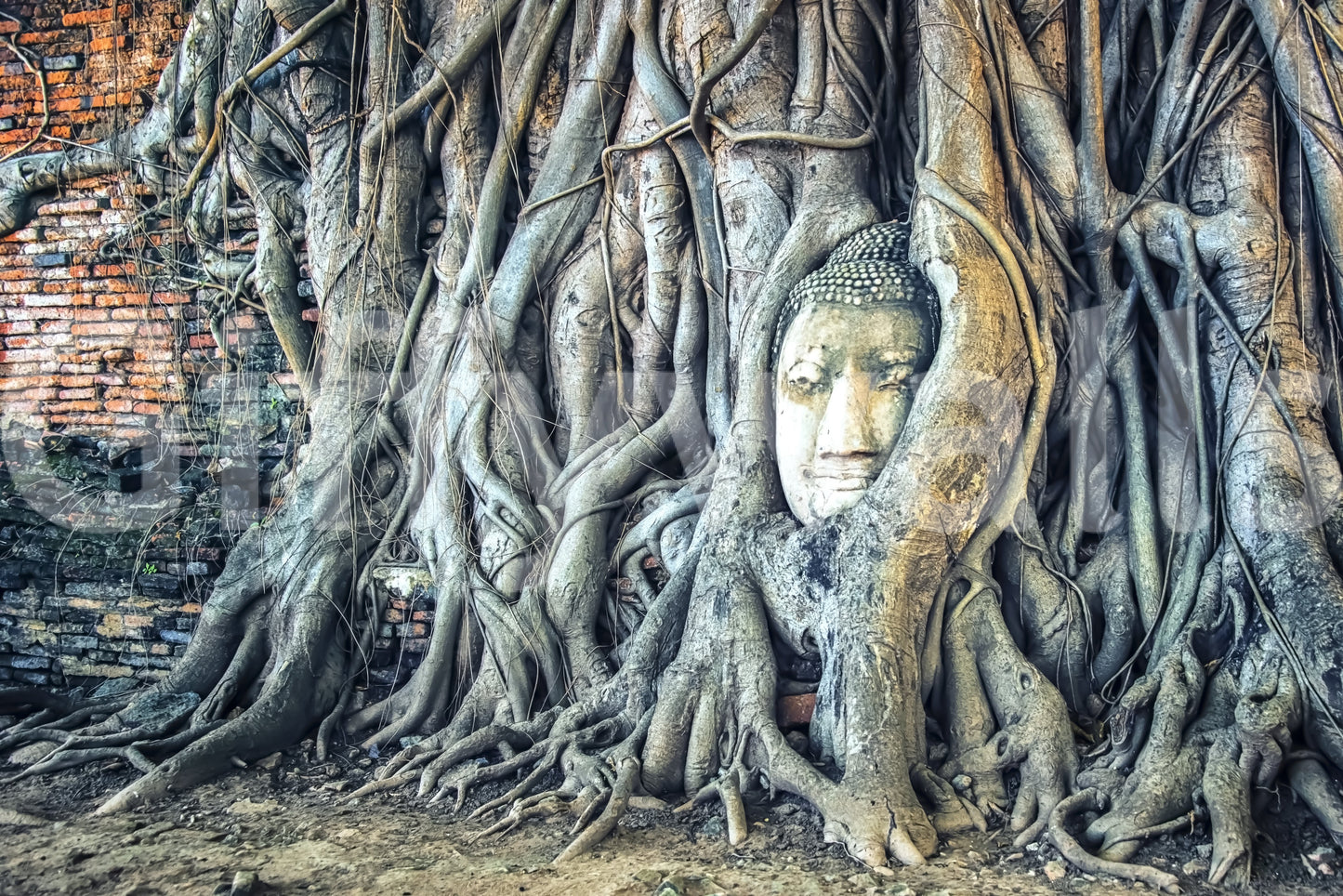 Timeless Harmony Wall Mural