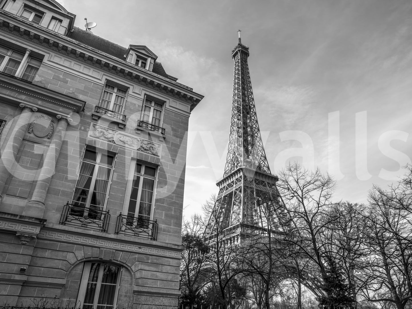 Old building next to Eiffel tower Wall Mural