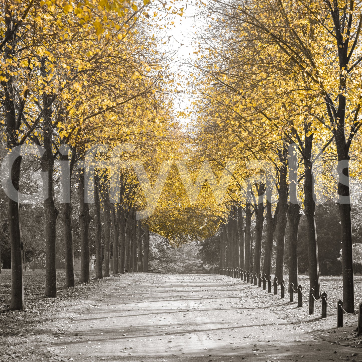 White Gold Wall Mural