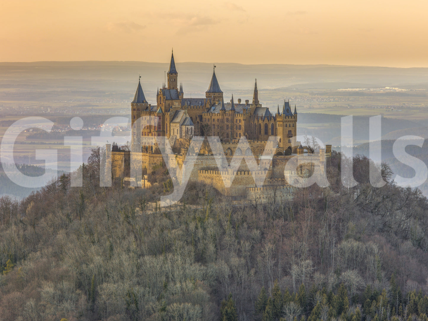 Castle Majesty Wall Mural