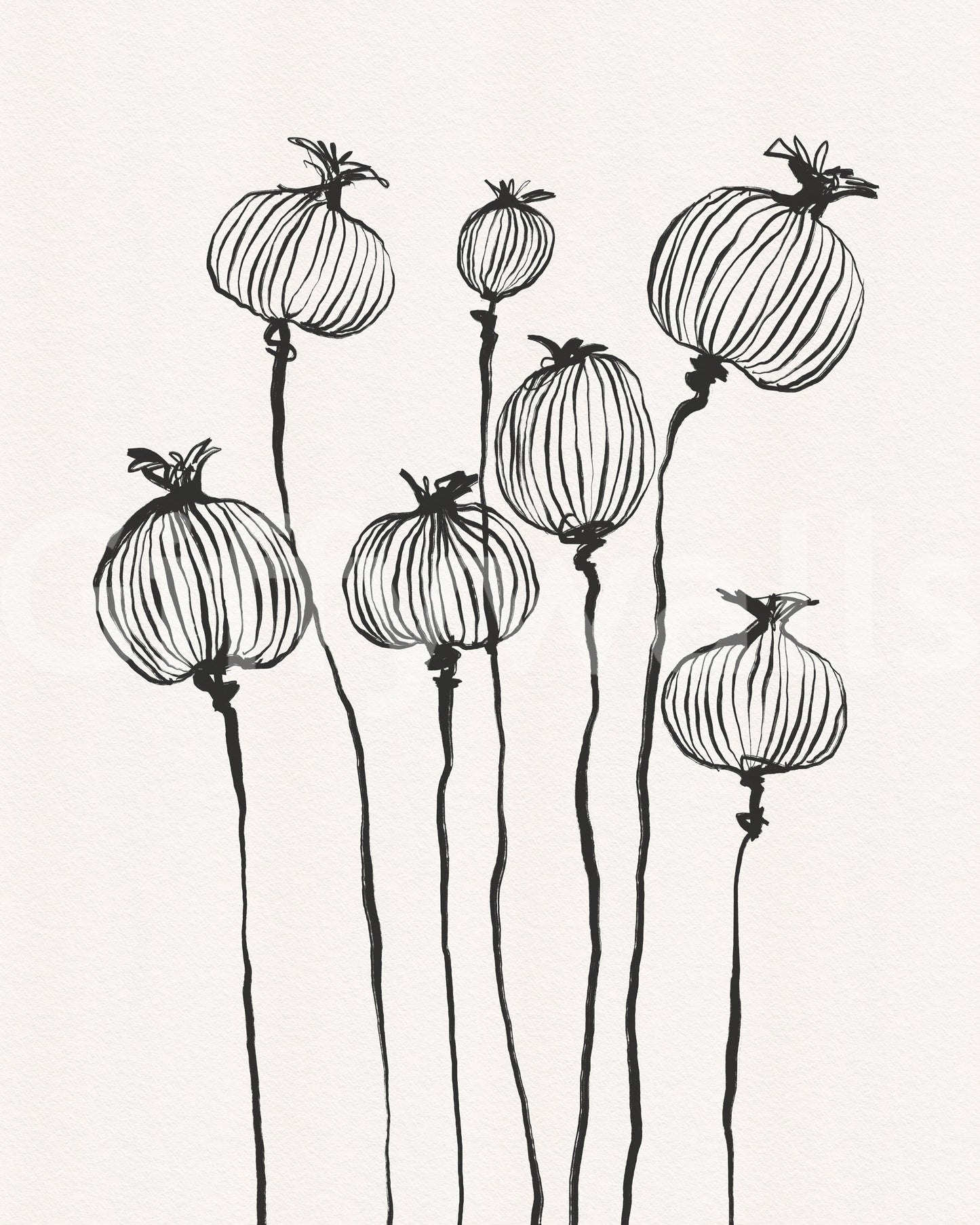 Ink Poppy Pods Wall Mural