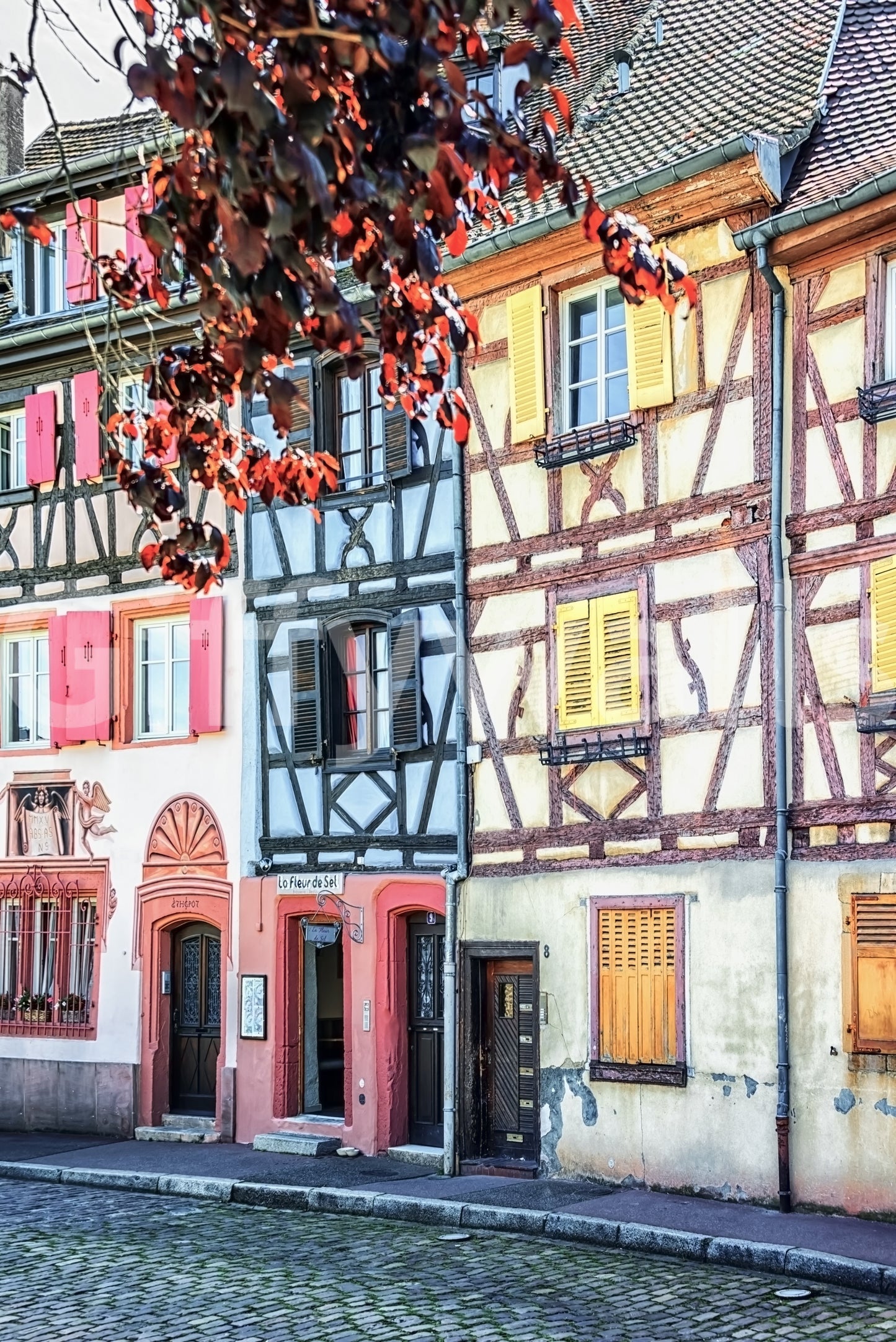 Vintage Alsace Wall Mural