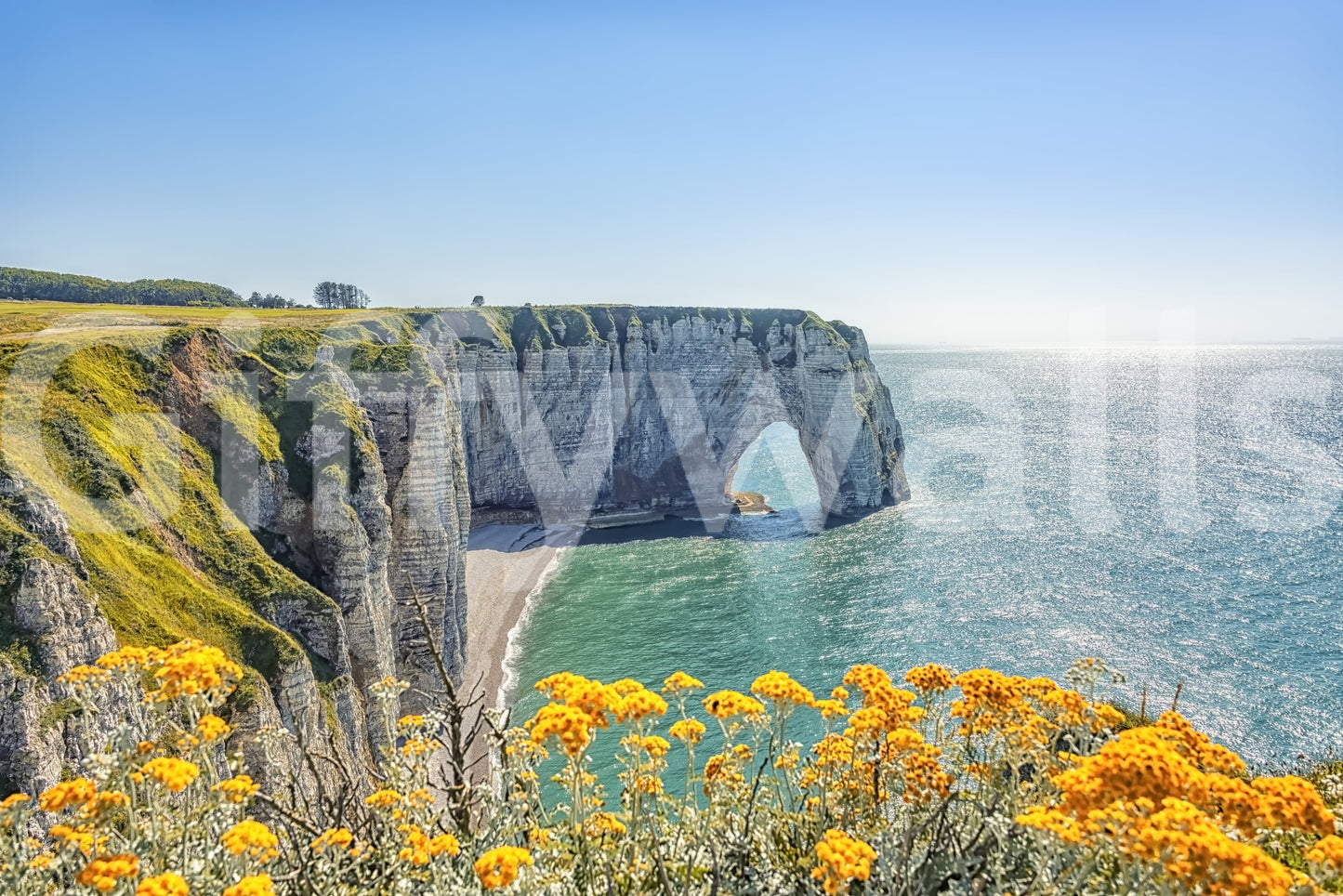 Etretat's Yellow Bloom Wall Mural