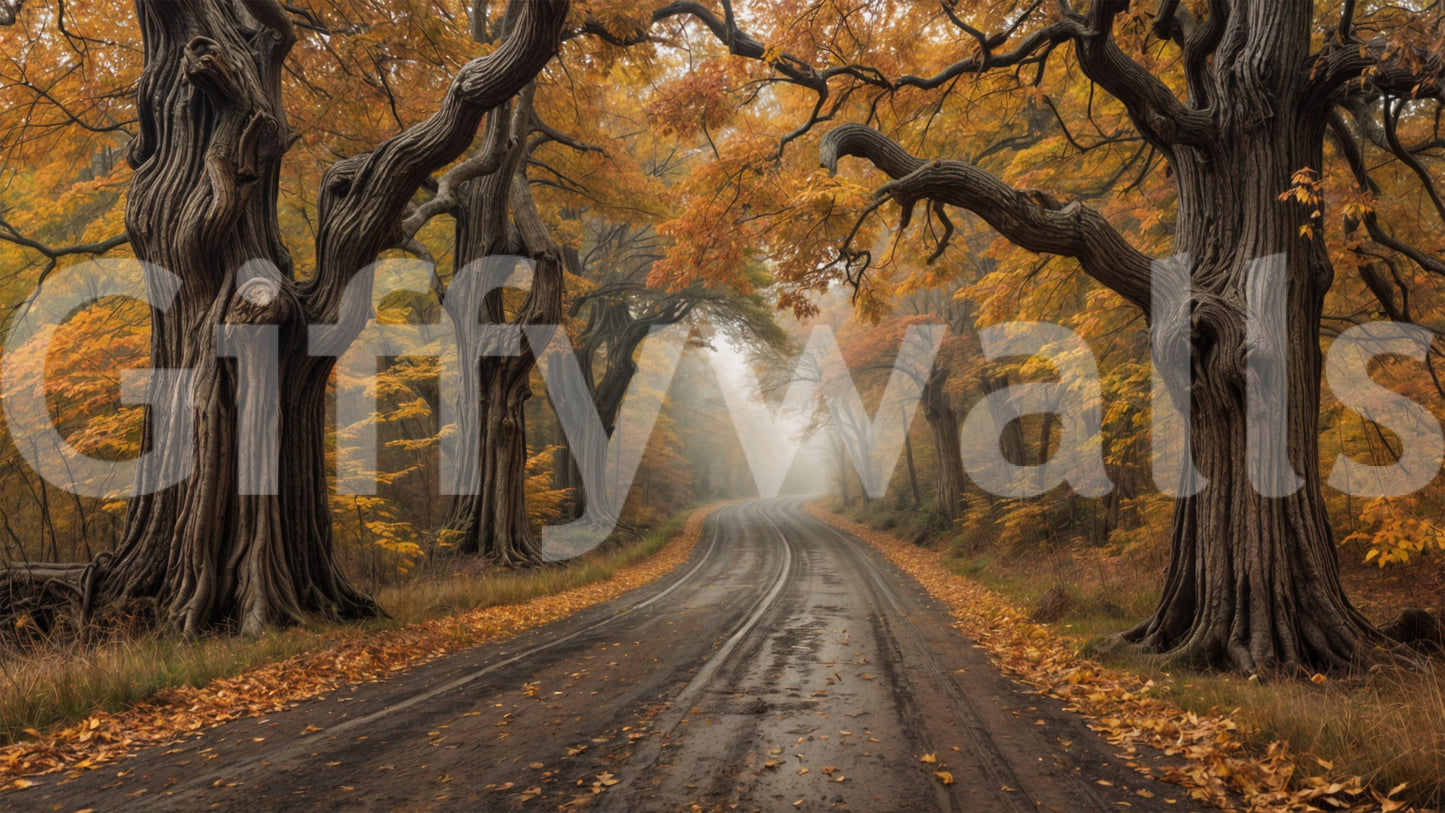 Autumn Road Canopy Wall Mural