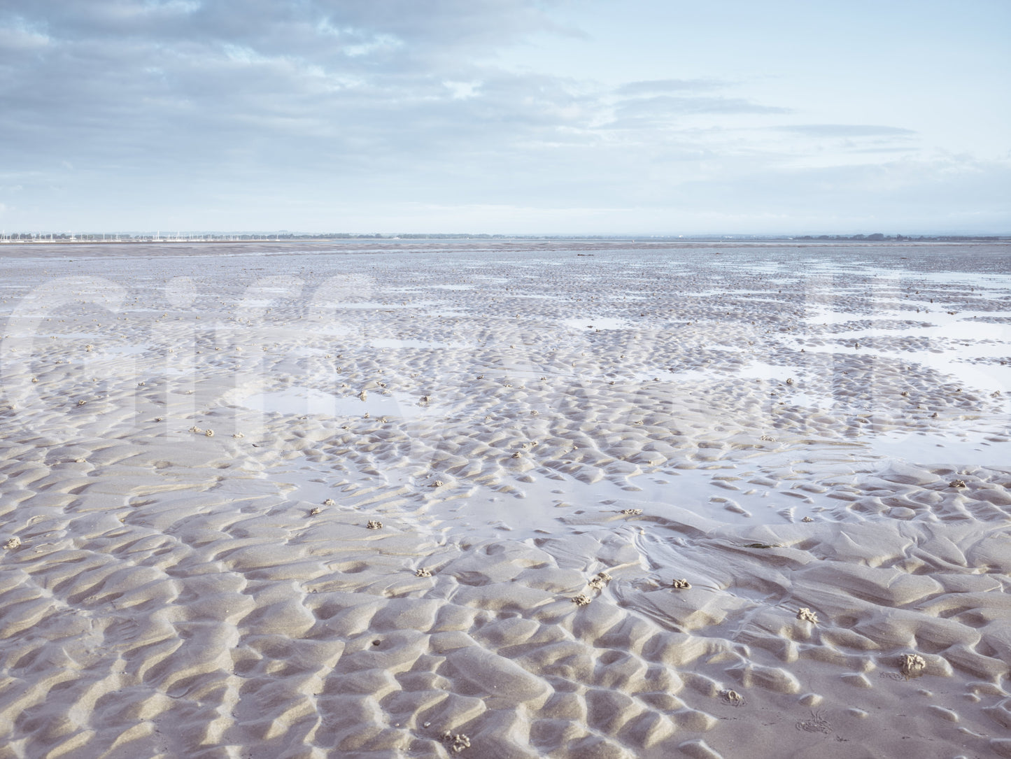 Shoreline Serenity Wall Mural