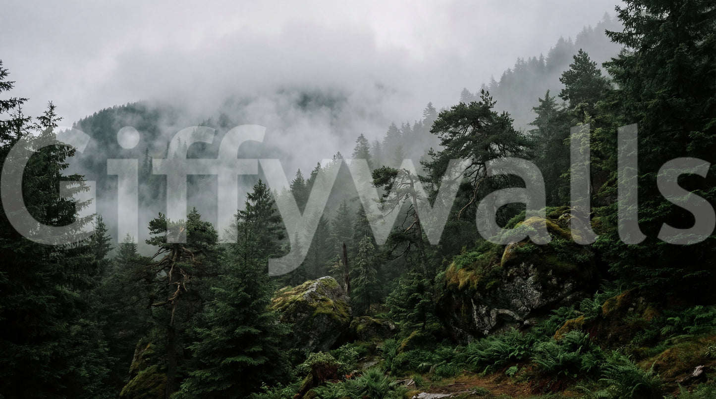 Misty Forest Wall Mural