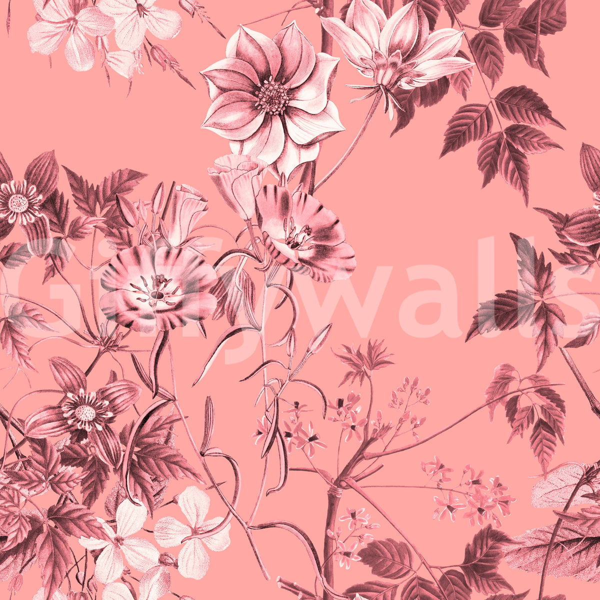 Botanical pink wallpaper featuring Flower Prints with gentle floral lines