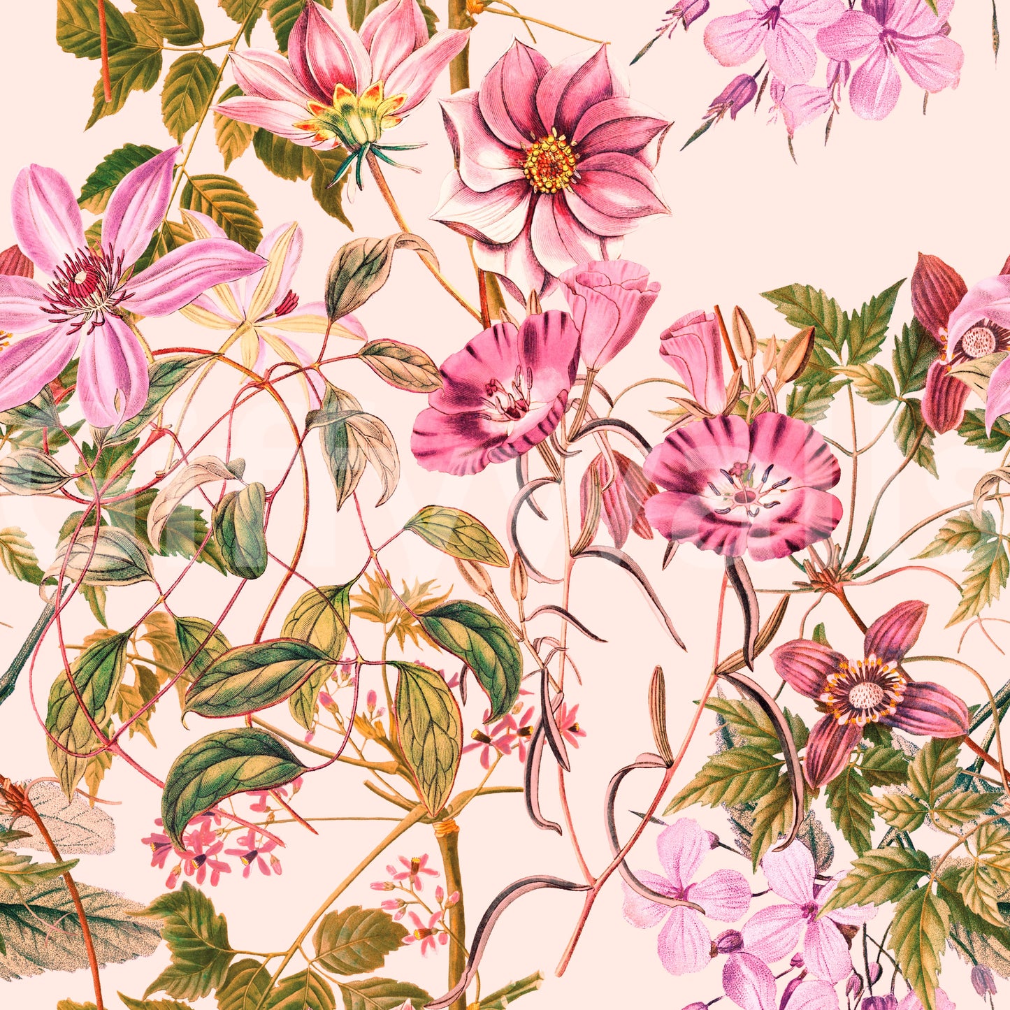 Pale base wallpaper with Floral Elegance blossoms and vine linework