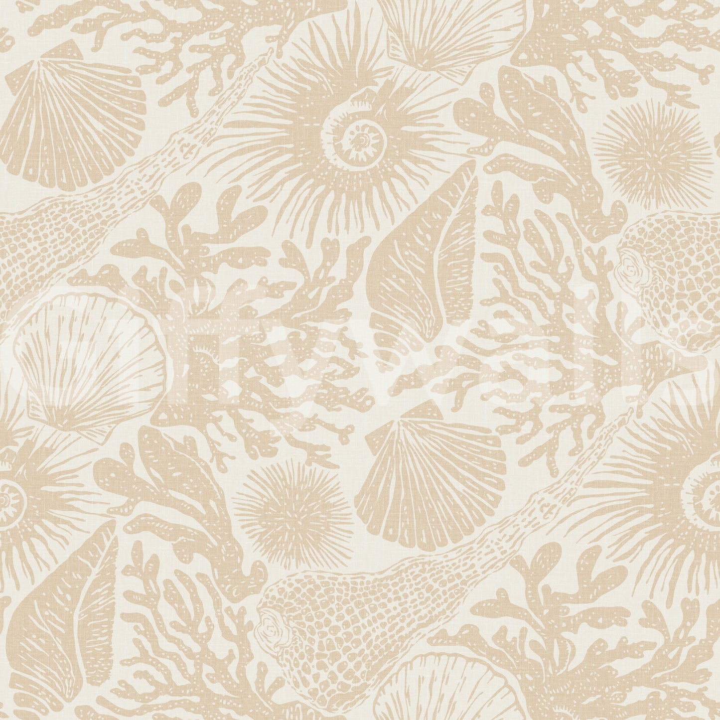 Boho Seashell & Coral Sand Wallpaper