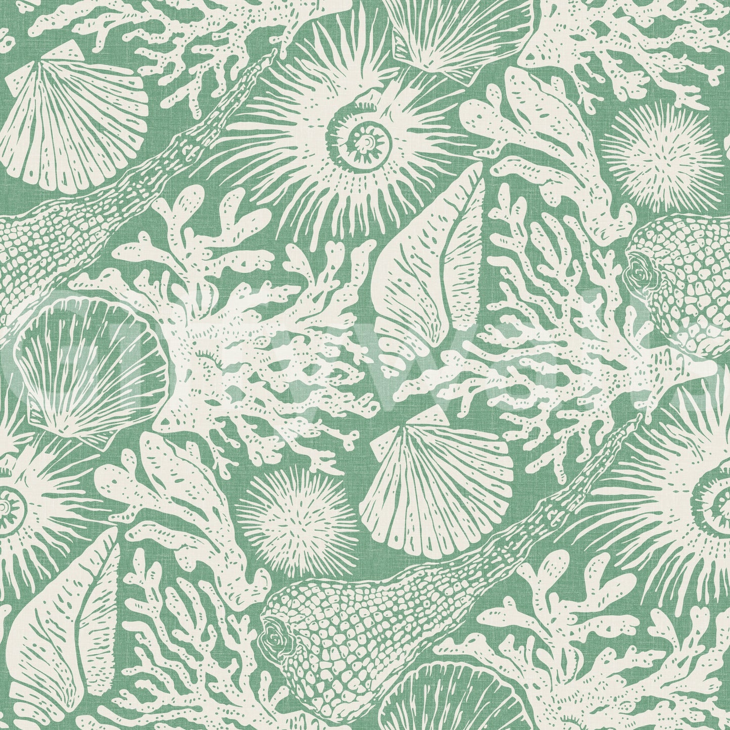 Boho Seashell & Coral Aqua Green Wallpaper