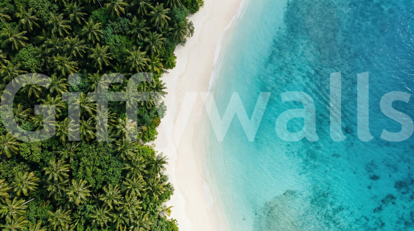 Tropical Shoreline Wall Mural