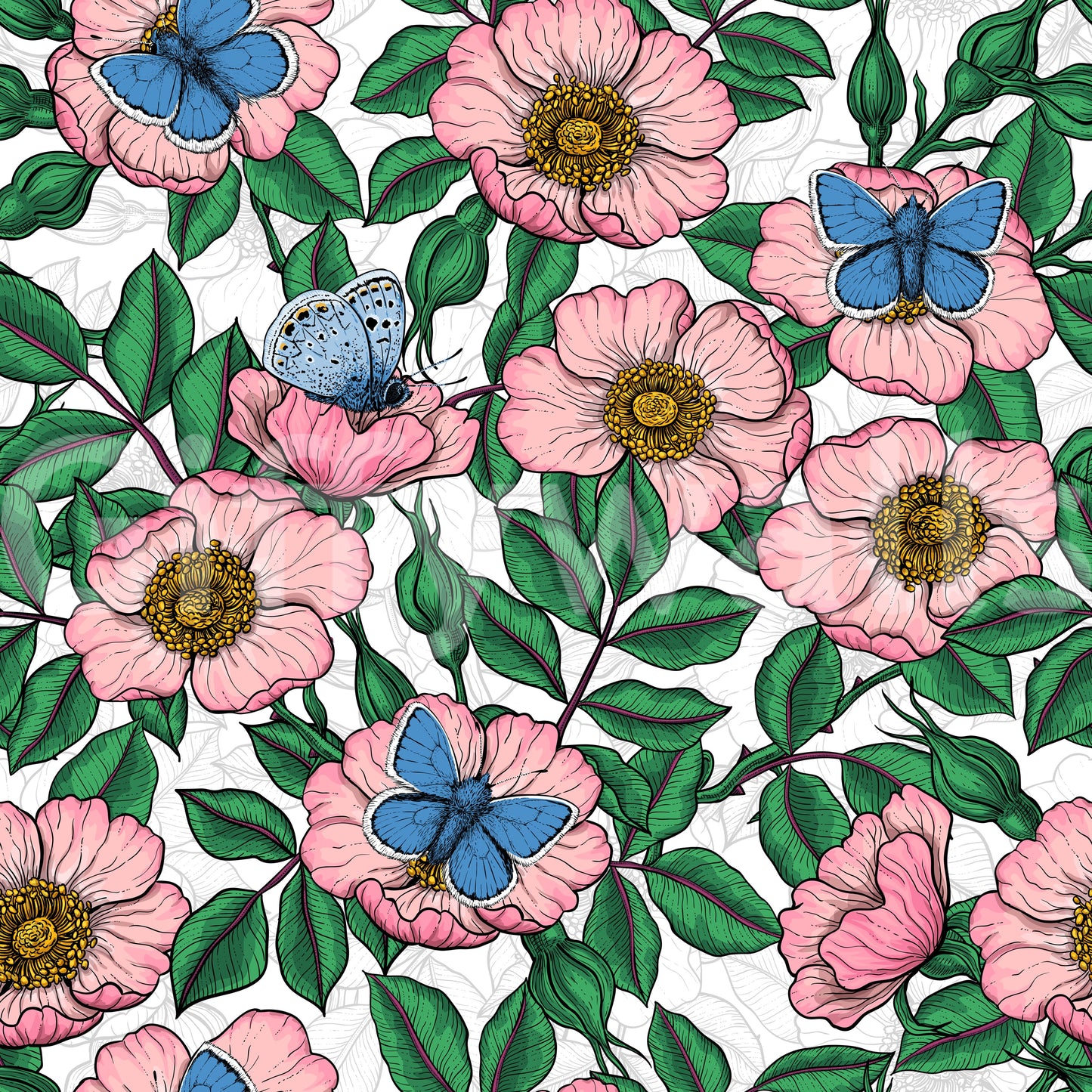 Dog Rose and Butterflies – Pink Green and Blue Floral Colored Line Art on White Background Wallpaper